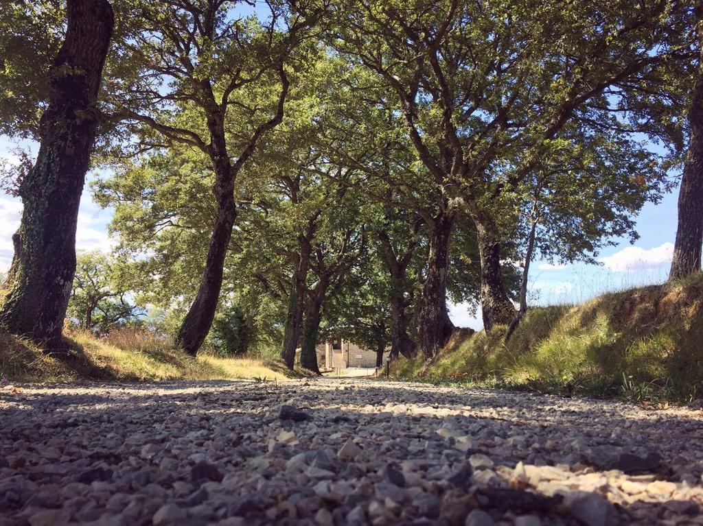Agriturismo Ipoderi Chianciano Terme Kültér fotó