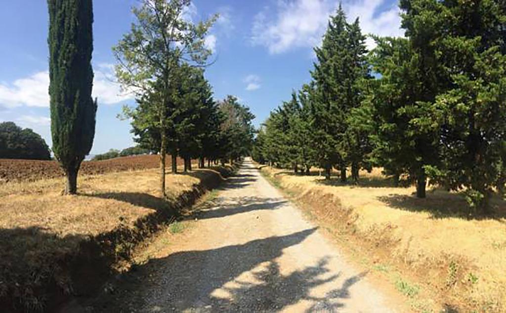 Agriturismo Ipoderi Chianciano Terme Kültér fotó